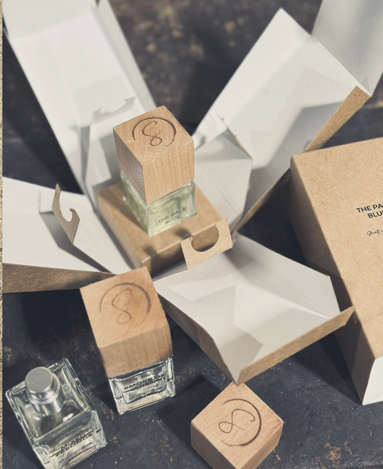New Launches